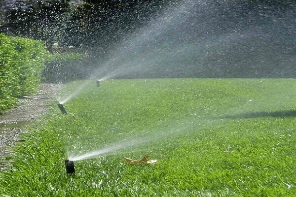 آب می‌رود و درختان می‌خشکند/ هدر رفت منابع آبی در آبیاری فضای سبز پایتخت