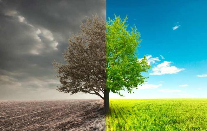 آب می‌رود و درختان می‌خشکند/ هدر رفت منابع آبی در آبیاری فضای سبز پایتخت