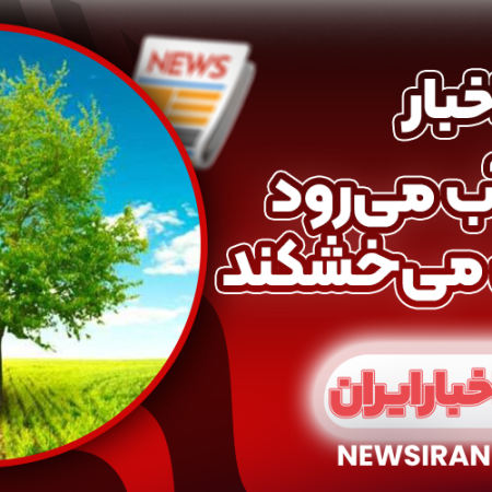 تهران: آب می‌رود و درختان می‌خشکند