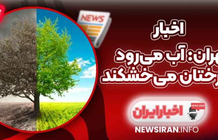 تهران: آب می‌رود و درختان می‌خشکند