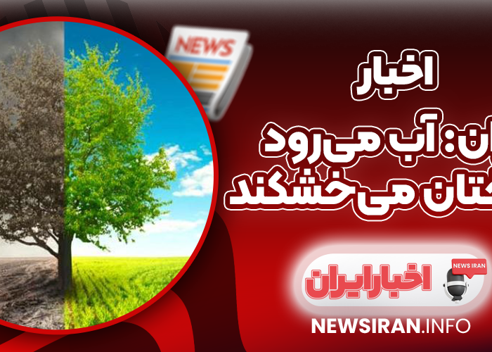تهران: آب می‌رود و درختان می‌خشکند