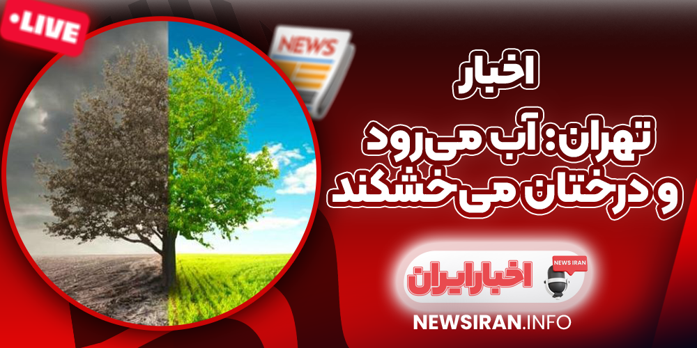 تهران: آب می‌رود و درختان می‌خشکند