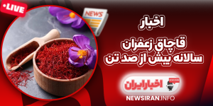 قاچاق زعفران سالانه بیش از صد تن