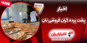 پشت پرده گران فروشی نان