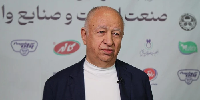کارآفرینان ایرانی موفق 